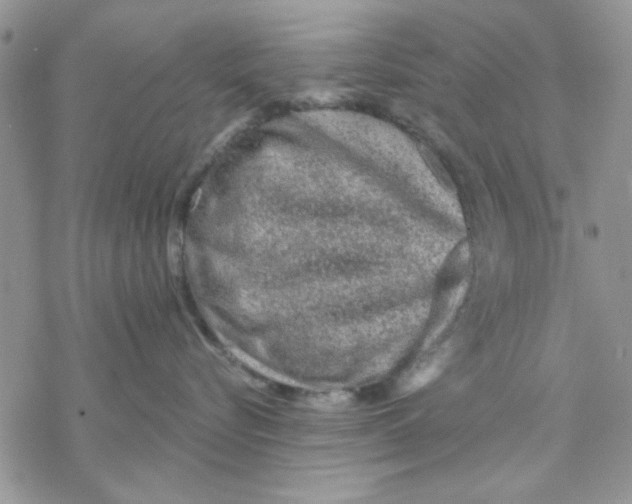 X0000069830576200606091449