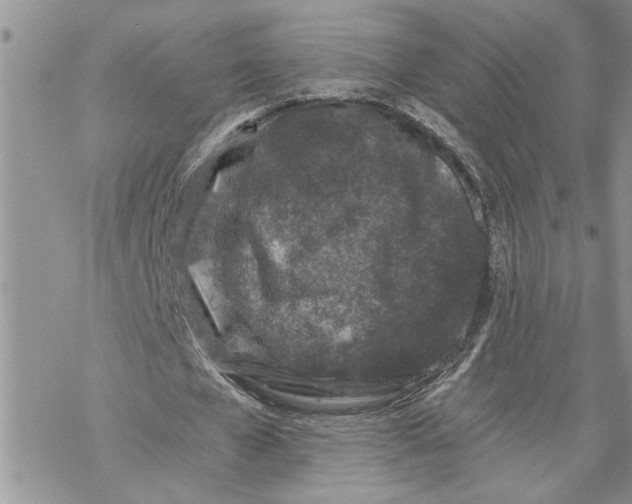 X0000069830577200606091448