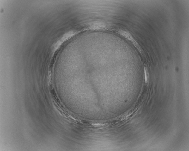 X0000069830579200606091448