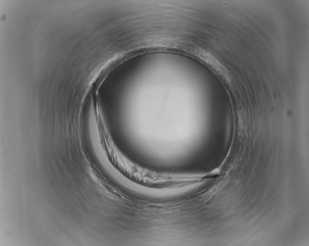 X0000069830580200606091448