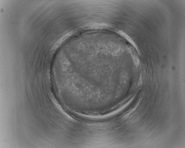 X0000069830581200606091448