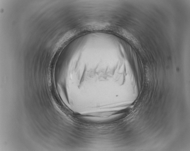 X0000069830582200606091448