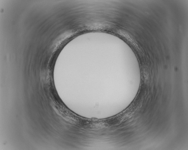 X0000069830583200606091448