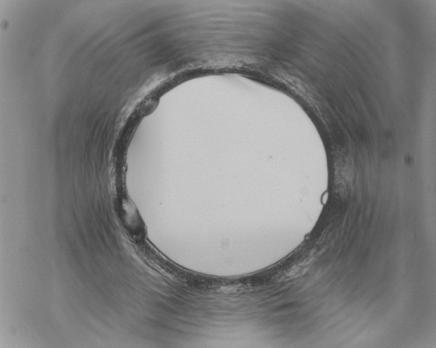 X0000069830584200606091448