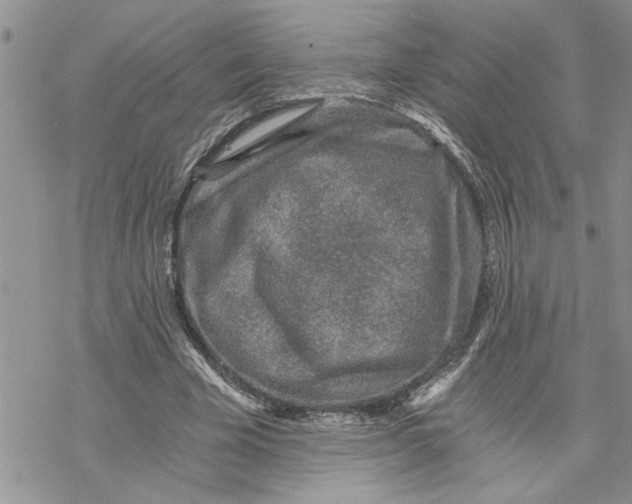 X0000069830585200606091448