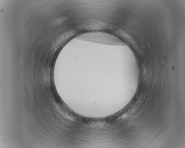 X0000069830586200606091448