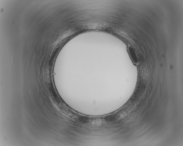 X0000069830587200606091448