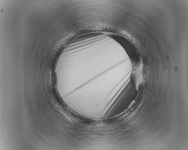 X0000069830589200606091448