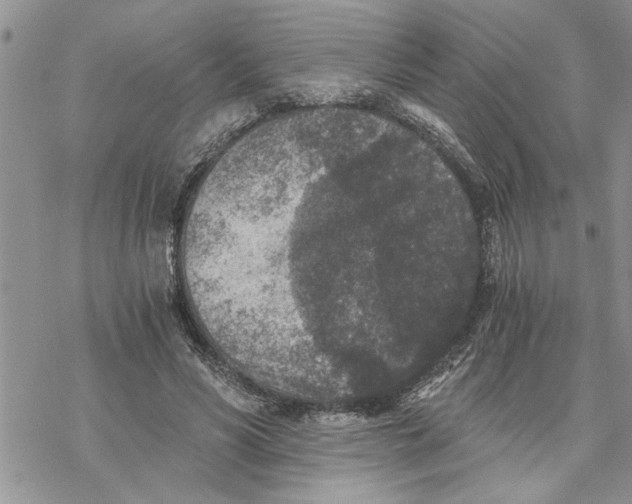 X0000069830590200606091448