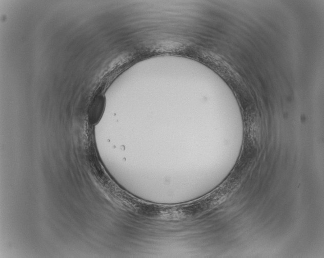 X0000069830591200606091448