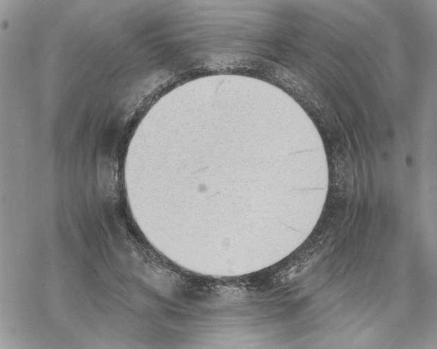 X0000069830592200606091448