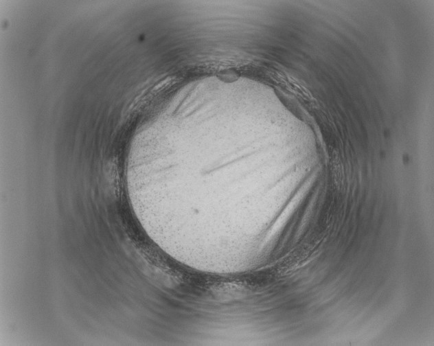 X0000069830594200606091448