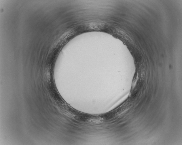 X0000069830595200606091448