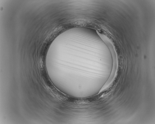 X0000069830597200606091448