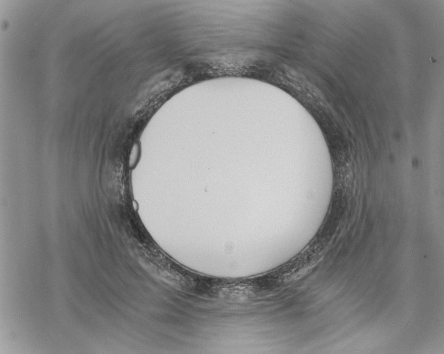 X0000069830599200606091448