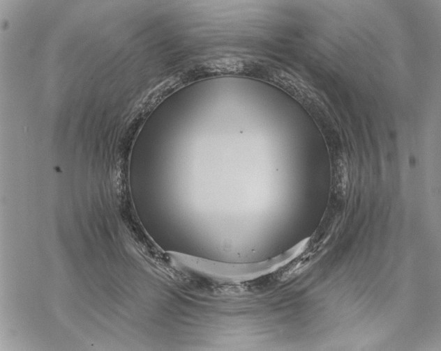 X0000069830600200606091448