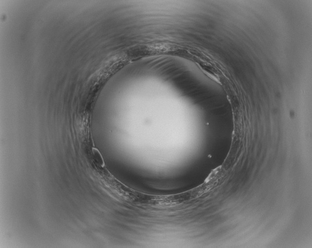 X0000069830601200606091448