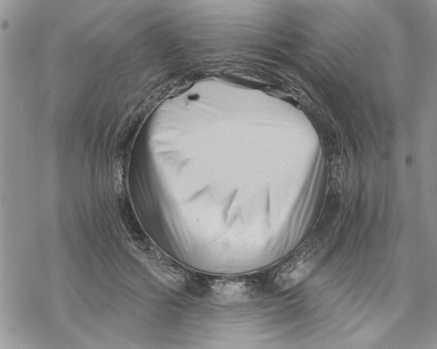 X0000069830602200606091448