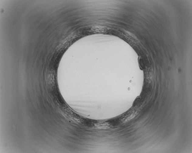 X0000069830603200606091447