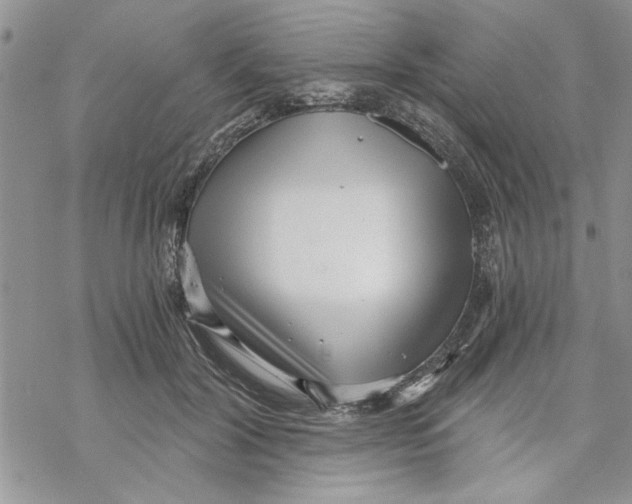 X0000069830604200606091447