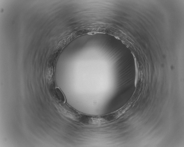 X0000069830605200606091447