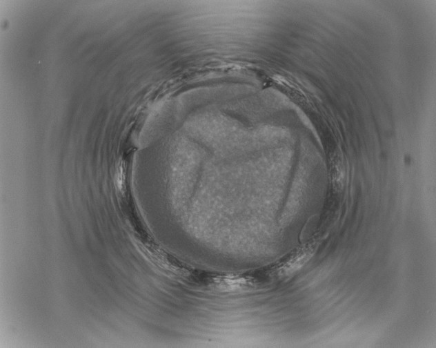 X0000069830607200606091447