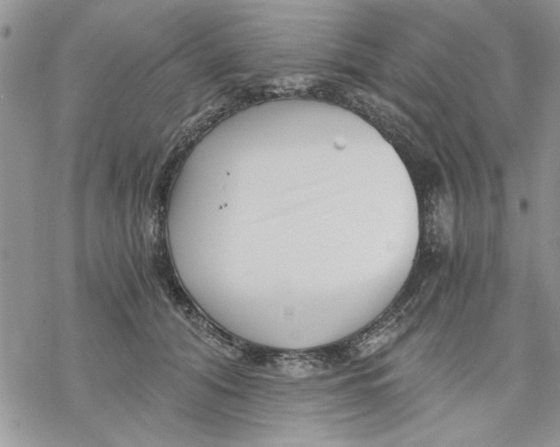 X0000069830608200606091447