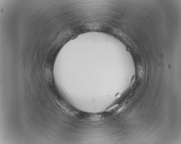 X0000069830609200606091447