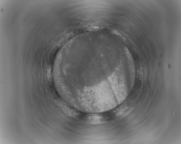 X0000069830610200606091447