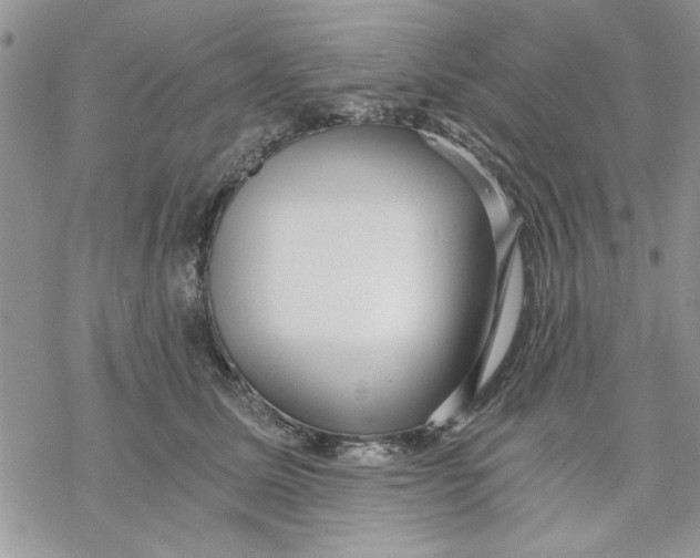 X0000069830611200606091447