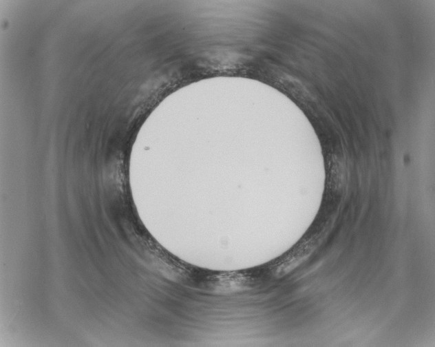 X0000069830612200606091447