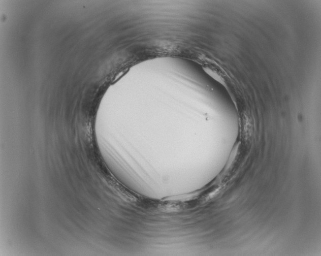 X0000069830613200606091447