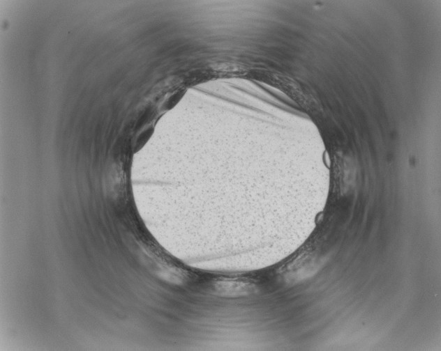 X0000069830614200606091447