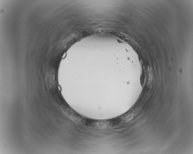 X0000069830615200606091447