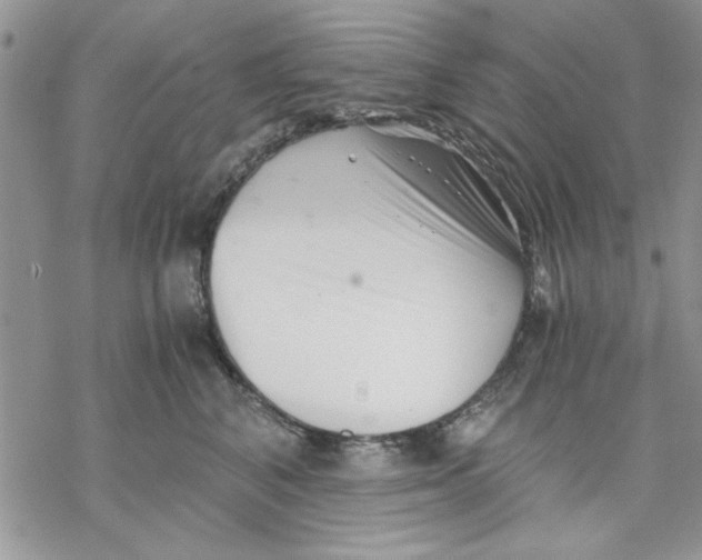 X0000069830616200606091447