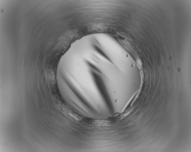 X0000069830617200606091447