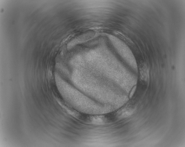 X0000069830618200606091447