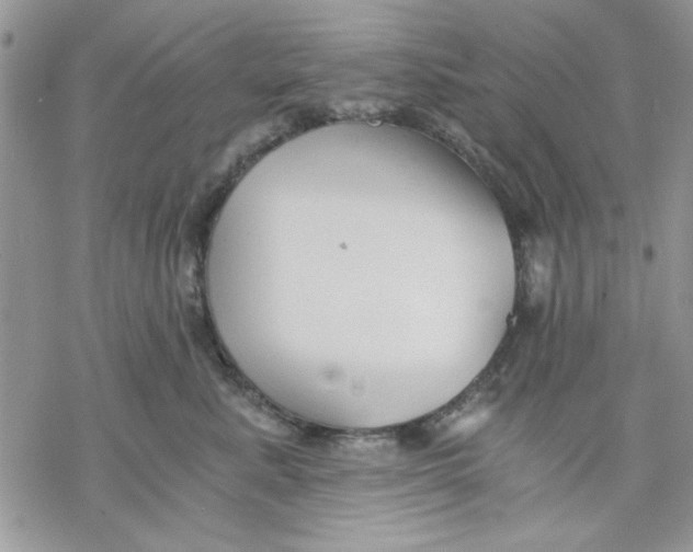 X0000069830619200606091447