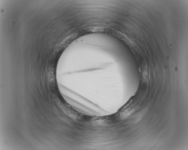 X0000069830620200606091447