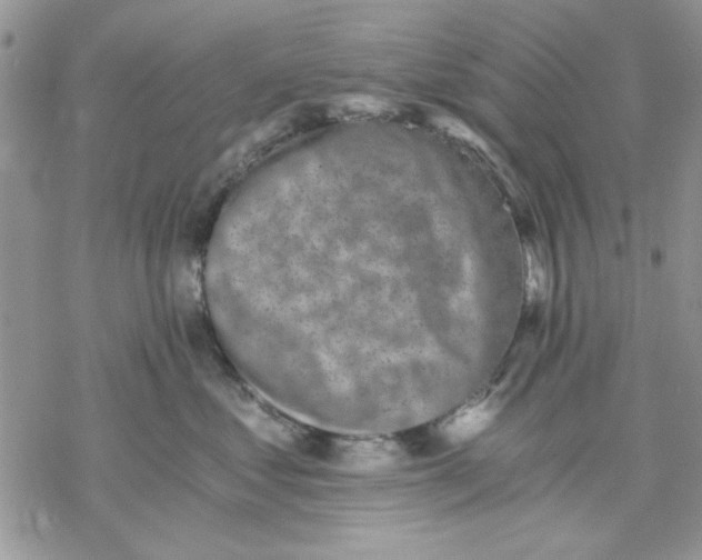 X0000069830621200606091447