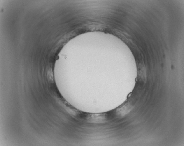 X0000069830622200606091447