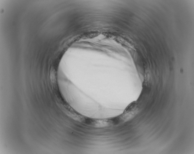 X0000069830623200606091447