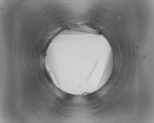 X0000069830624200606091447