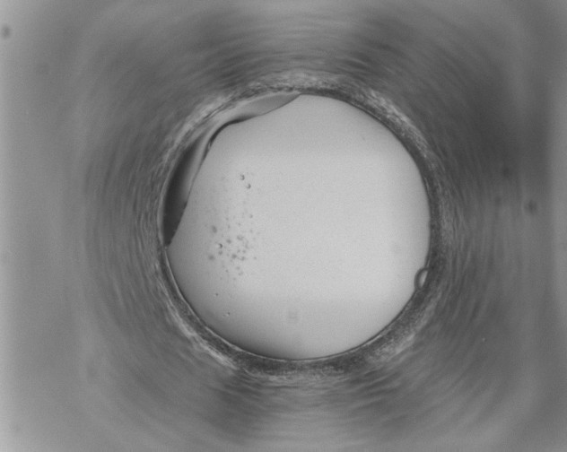 X0000069830625200606091446