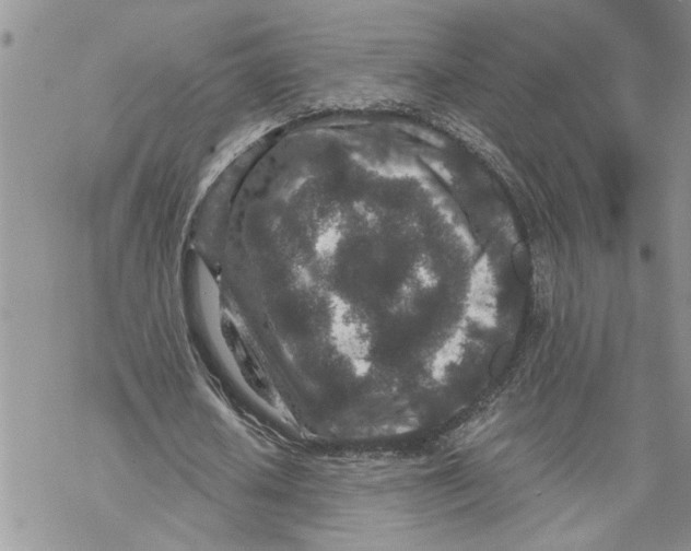 X0000069830626200606091446