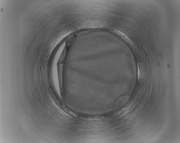 X0000069830627200606091446