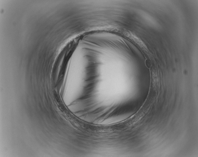 X0000069830628200606091446