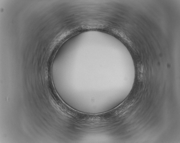 X0000069830631200606091446