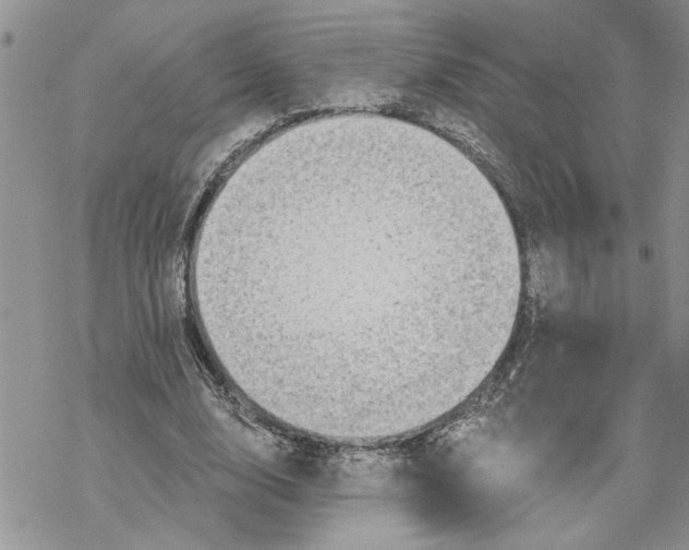 X0000069830632200606091446