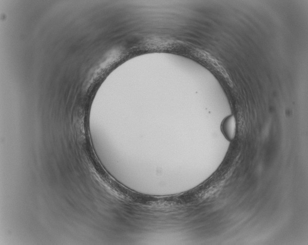 X0000069830633200606091447